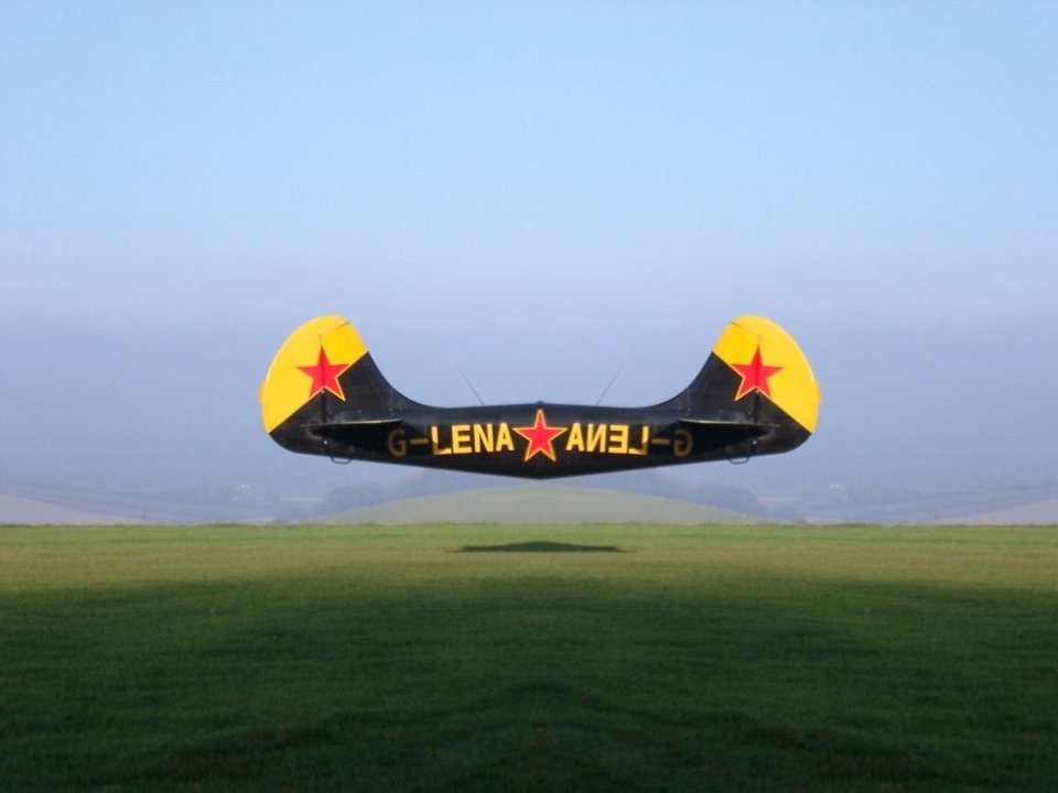 Hovering Yak