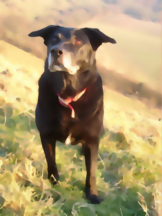 Jet