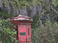 The Last Post : Creative