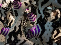 Pompidou Art : Creative
