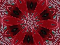 Yak kaleidoscope x 6