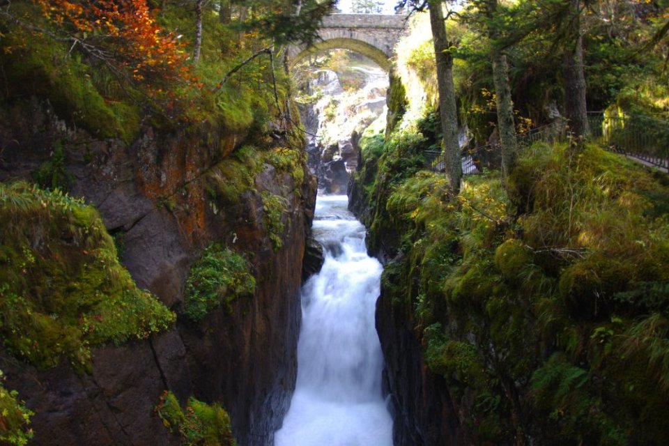 IMGP0935