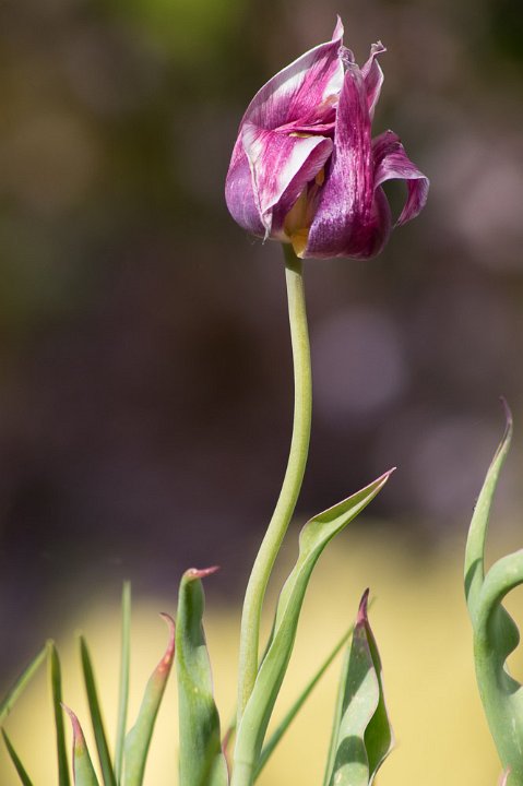 20200418-IMGP8124